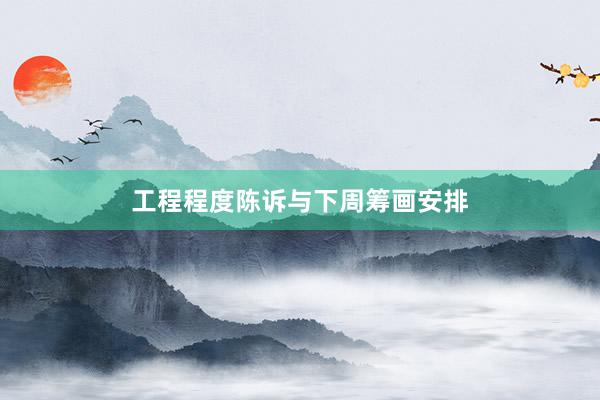 工程程度陈诉与下周筹画安排