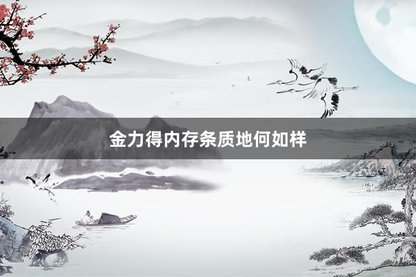 金力得内存条质地何如样